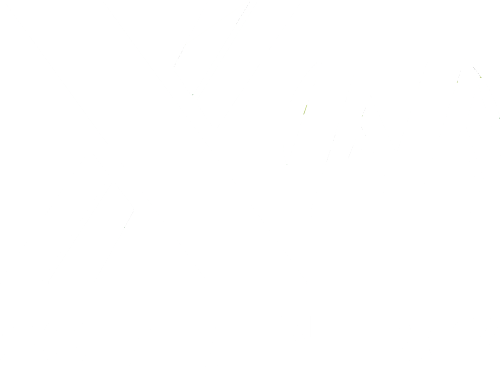 Логотип ShineMPower